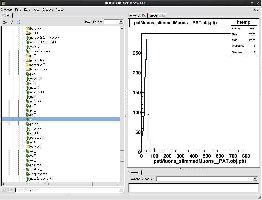 TBrowser slimmedMuons pt() view